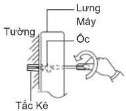Lung Mây Óc Tùng Tắc Kê