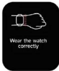Wear the watch correctly