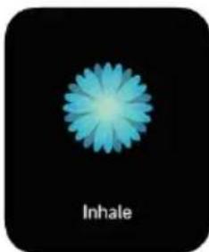 Kogan KAAP3WTCBLA - Breathe - 5