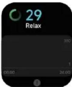 29 Relax 300 1 00:00 24:00
