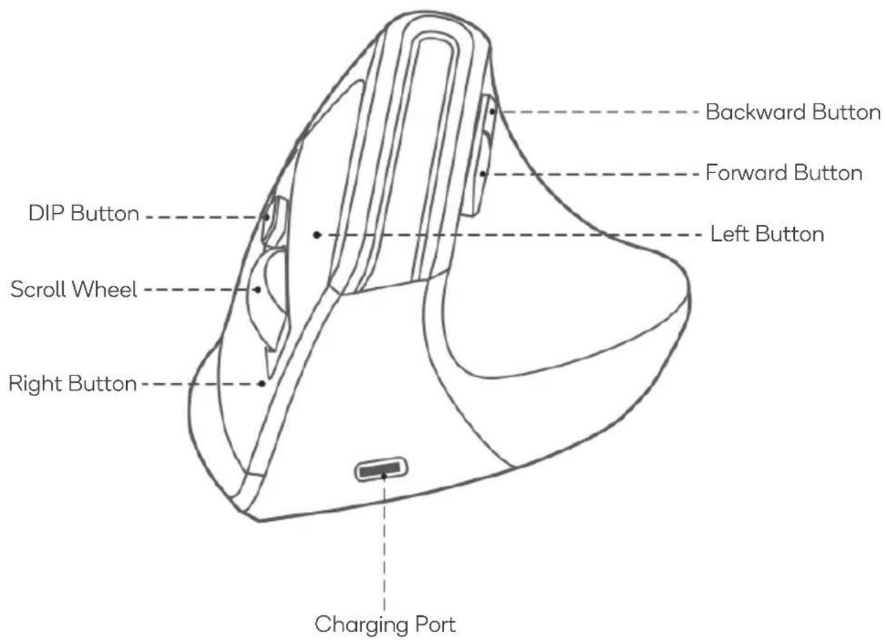 Backward Button Forward Button DIP Button Left Button Scroll Wheel Right Button Charging Port