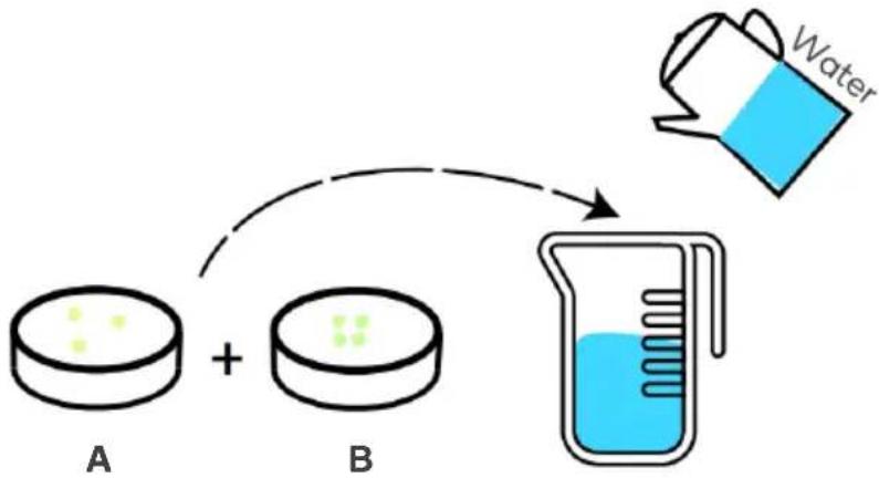 Kogan KASMGROWSTA - Nutrient Solution - 1