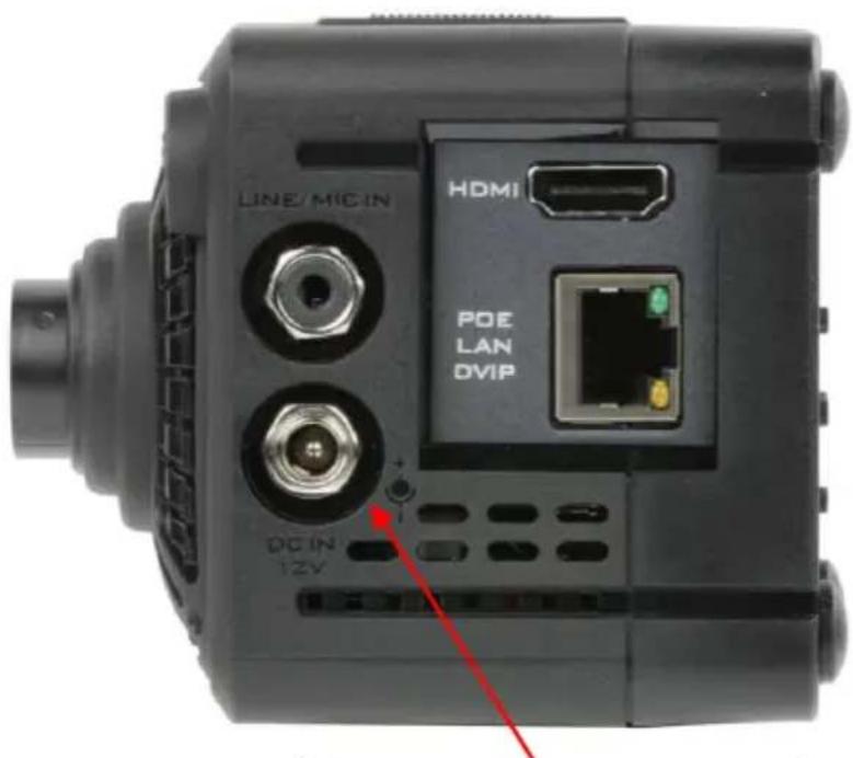 LINE/MICIN HDMI POE LAN DVIP DC IN 12V