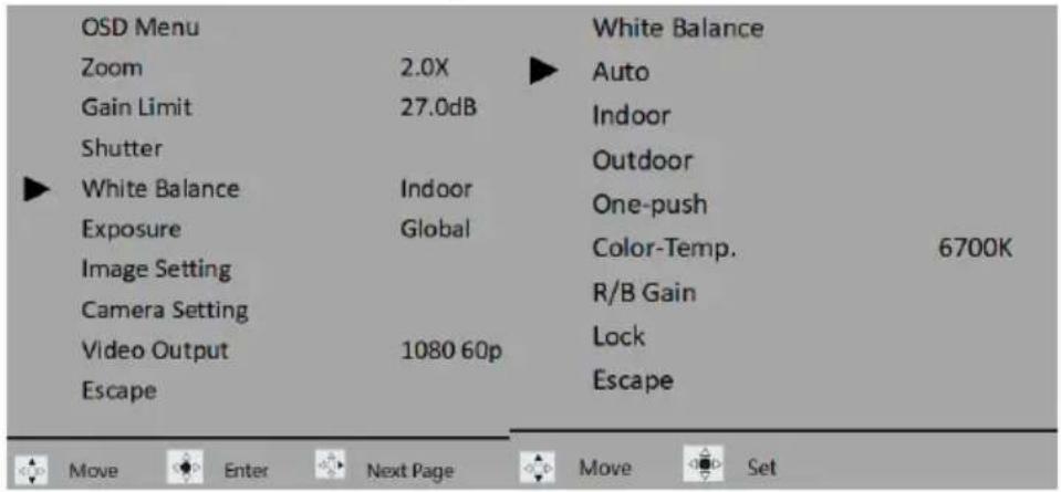 OSD Menu Zoom 2.0X Gain Limit 27.0dB Shutter ► White Balance Indoor Exposure Global Image Setting Camera Setting Video Output 1080 60p Escape White Balance Auto Indoor Outdoor One-push Color-Temp. 6700K R/B Gain Lock Escape Move Enter Next Page Move Set