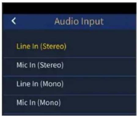 Audio Input Line In (Stereo) Mic In (Stereo) Line In (Mono) Mic In (Mono)