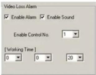 Video Loss Alarm Enable Alarm Enable Sound Enable Control No. 1 [ Working Time ] 0 0 20
