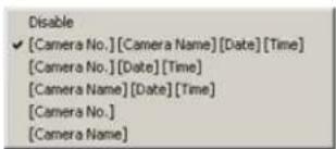 Disable ✓ [Camera No.][Camera Name][Date][Time] [Camera No.][Date][Time] [Camera Name][Date][Time] [Camera No.] [Camera Name]