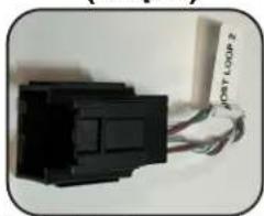 PAC RP5-GM61 - Installation Steps - 12