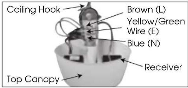 Ceiling Hook Brown (L) Yellow/Green Wire (E) Blue (N) Receiver Top Canopy