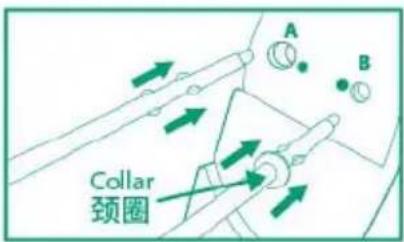 A B Collar 颈圈