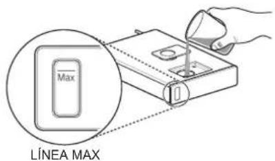 Max LÍNEA MAX