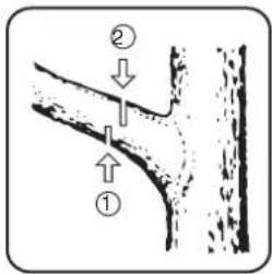 Diagram showing two labeled arrows pointing to a curved structure, with numbers ① and ② indicating different positions or directions.