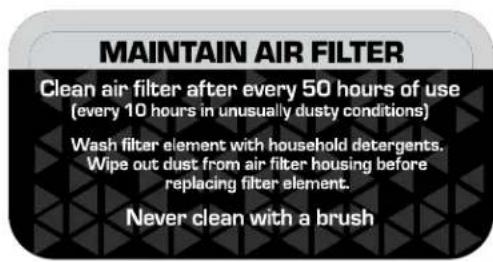 MAINTAIN AIR FILTER Clean air filter after every 50 hours of use (every 10 hours in unusually dusty conditions) Wash filter element with household detergents. Wipe out dust from air filter housing before replacing filter element. Never clean with a brush