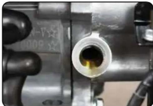 DuroStar DS10000E - Checking the Oil - 2