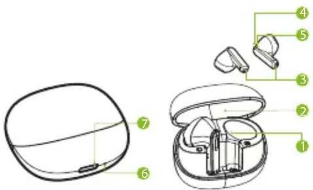 Diagram of a wireless earbuds with numbered parts for identification