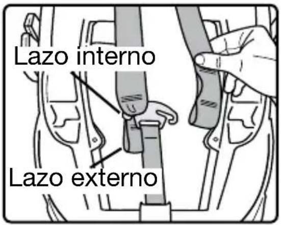 Lazo interno Lazo externo
