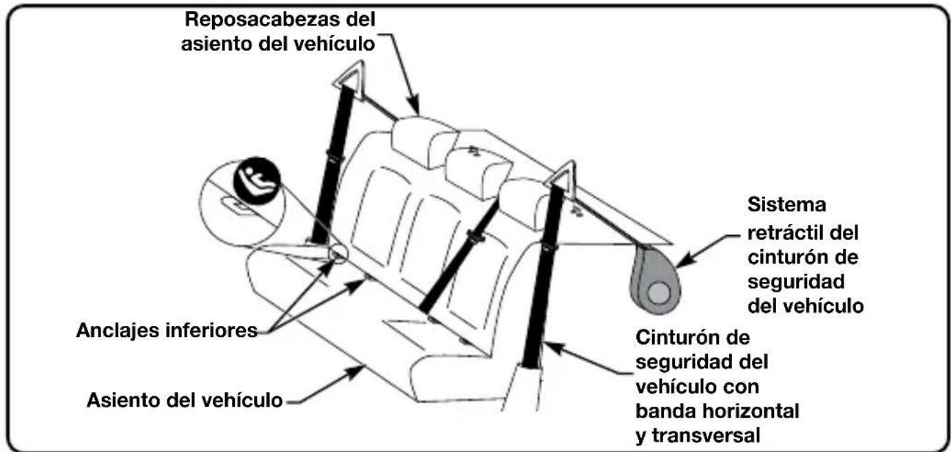Reposacabezas del asiento del vehículo Anclajes inferiores Asiento del vehículo Sistema retráctil del cinturón de seguridad del vehículo Cinturón de seguridad del vehículo con banda horizontal y transversal