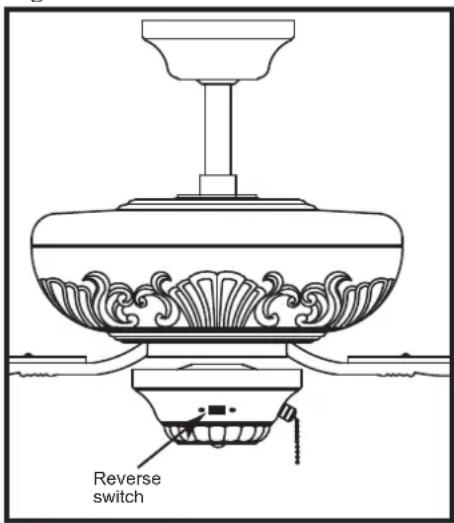 Reverse switch