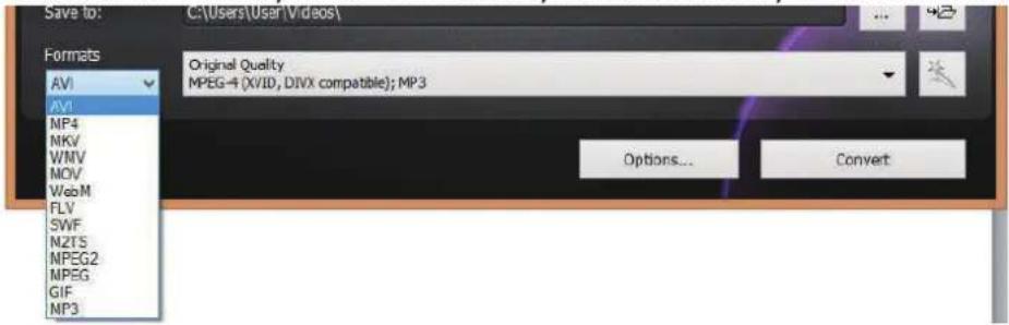 Save to: C:\Users\User\Videos\ Formats AV1 AV1 MP4 NKV WNV MOV WebM FLV SWF N2TS MPEG2 MPEG GIF MP3 Original Quality MPEG-4 (XVID, DIVX compatible); MP3 Options... Convert