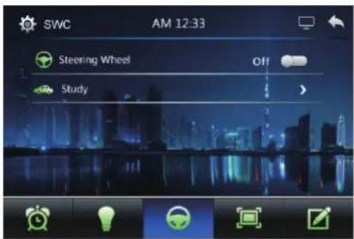 SWC AM 12:33 Steering Wheel Off Study