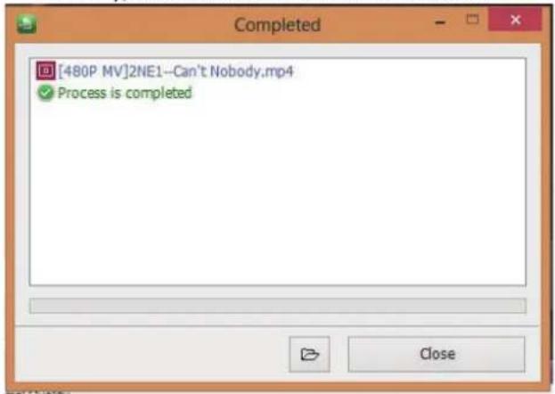 [480P MV]2NE1--Can't Nobody.mp4 ✓ Process is completed