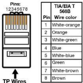 Pins: 12345678 TP Wires TIA/EIA T 568B Pin Wire color 1 White-orange 2 Orange 3 White-green 4 Blue 5 White-blue 6 Green 7 White-brown 8 Brown