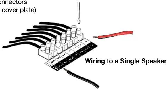 connectors (cover plate) Wiring to a Single Speaker