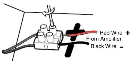 Red Wire + From Amplifier Black Wire -