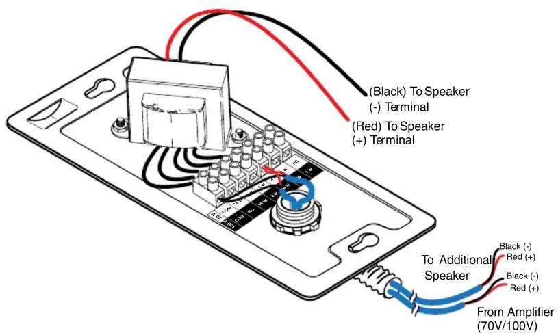 (Black) To Speaker (-) Terminal (Red) To Speaker (+) Terminal To Additional Speaker From Amplifier (70V/100V)