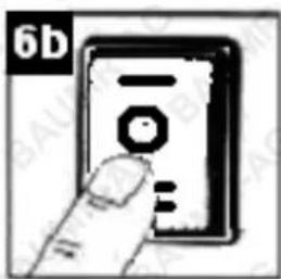 6b