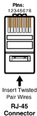 Plns: 12345678 Insert Twisted Pair Wires RJ-45 Connector