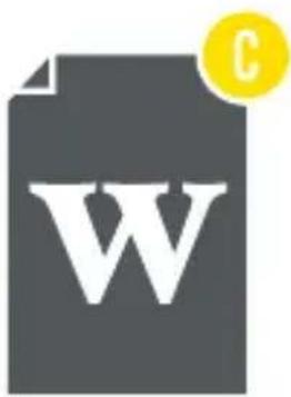 Generic document icon with a large 'W' and a yellow circular symbol (no text or symbols present)