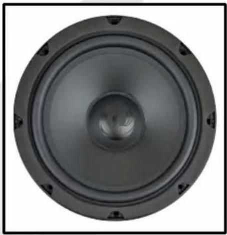 Close-up of a black speaker cone with concentric rings and mounting holes (no text or symbols visible)