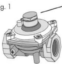 Chef CFE547SBB - Chant Regulator Dong Yang Regulator - 10