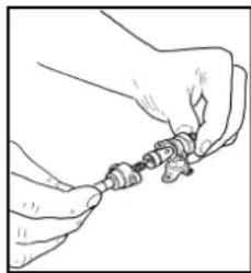 Line drawing of hands holding small objects, no text or symbols present