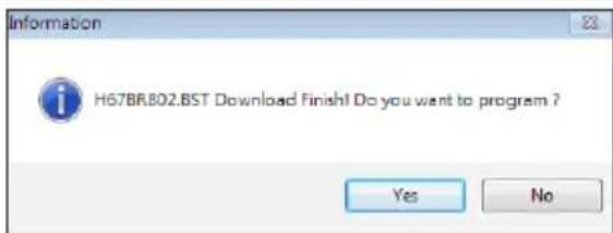 Information H67BRB02.BST Download Finish! Do you want to program ? Yes No