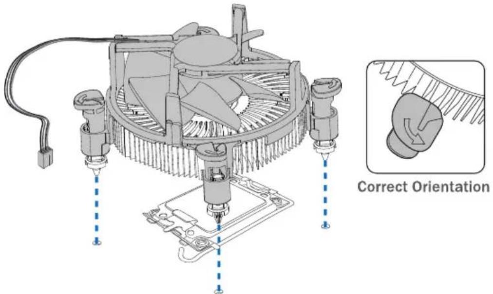 Correct Orientation
