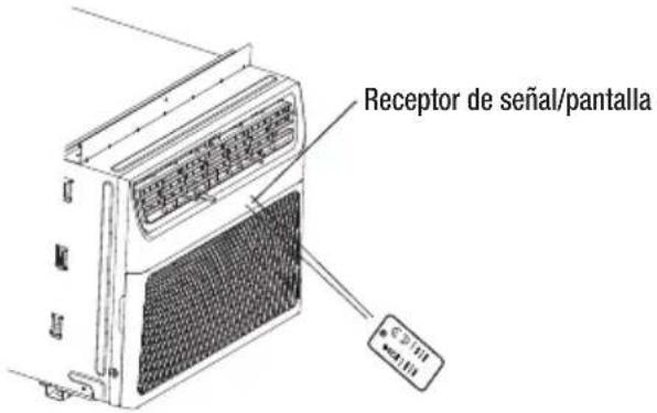 Receptor de señal/pantalla