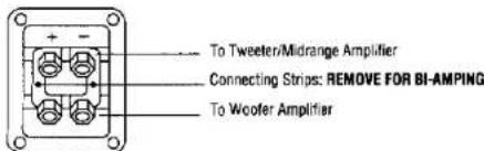 To Tweeter/Midrange Amplifier Connecting Strips: REMOVE FOR BI-AMPING To Woofer Amplifier