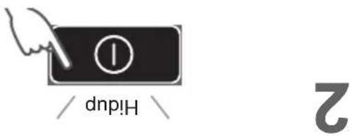 dnp!H 2