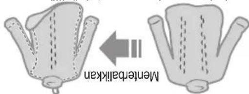 Meniscus ← Meniscus