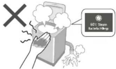 60°C Steam Bacteria/Allergy