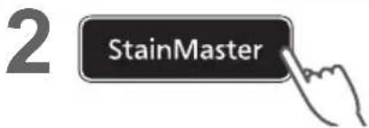 2 StainMaster