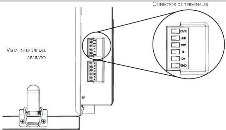 VISTA INFERIOR DEL AFARATO CONECTOR DE TERMINALES OVR LED 12V D- D+ GND