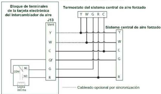 Bloque de terminales de la tarjeta electrónica del intercambiador de aire J13 Vent Y W C Gf G R Termostato del sistema central de aire forzado Y W G R C Sistema central de aire forzado Y W C G R COM NC NO Logica interna Cableado optional por sincronización