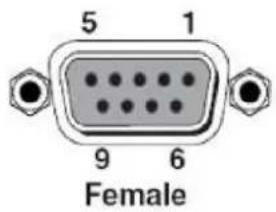 5 1 9 6 Female