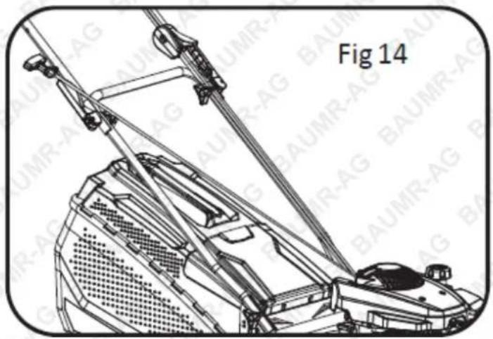 Baumr-AG 730EX - To Start the Engine - 3