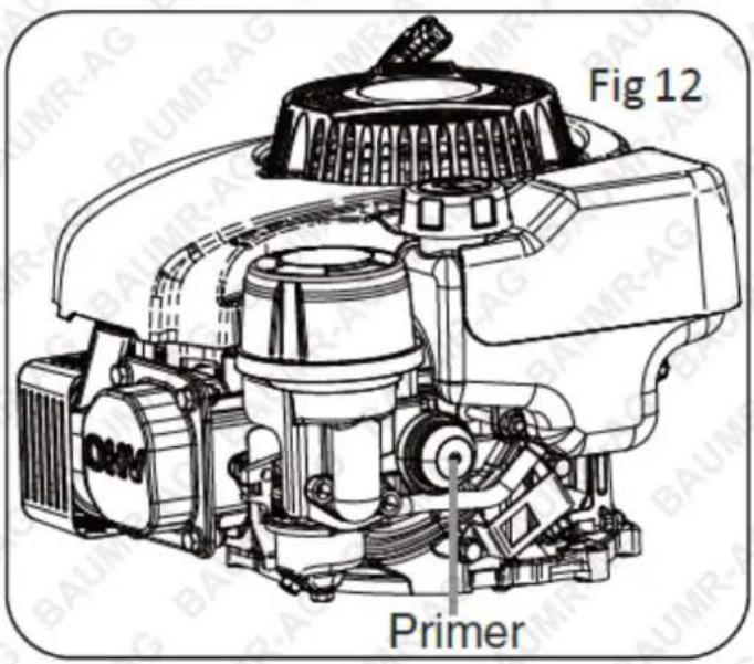 Fig 12 Primer