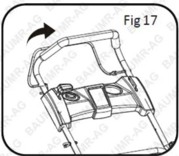 Fig 17