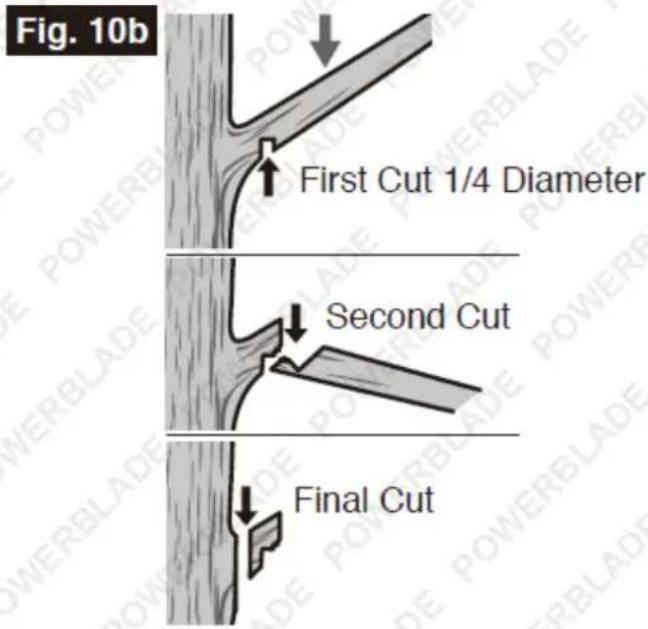 Fig. 10b First Cut 1/4 Diameter Second Cut Final Cut